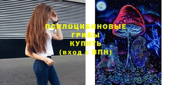 гашик Гусев