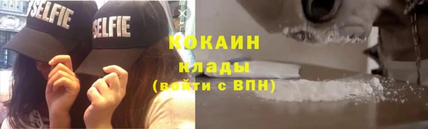 гашик Гусев