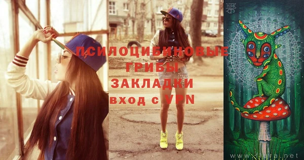 прущая мука Дмитриев