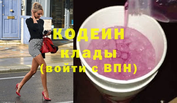 гашик Гусев