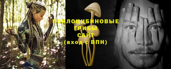 прущая мука Дмитриев