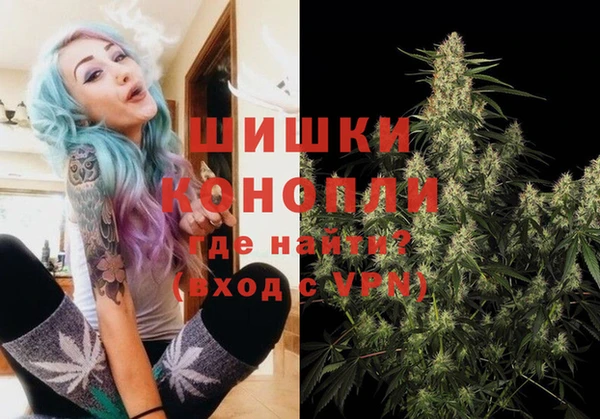 гашик Гусев