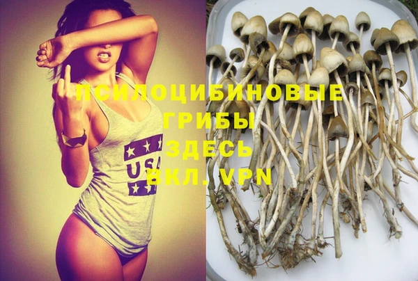 прущая мука Дмитриев