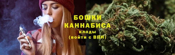 гашик Гусев