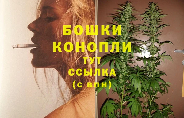 COCAINE Гусь-Хрустальный