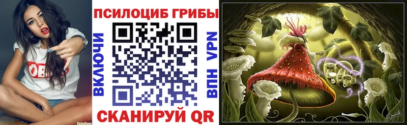 Псилоцибиновые грибы Psilocybe  кракен маркетплейс  Ефремов  закладки 