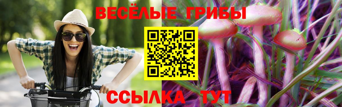 Ефремов  Псилоцибиновые грибы прущие грибы  Вход с VPN 