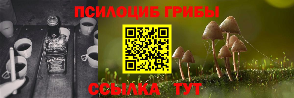 Галлюциногенные грибы мухоморы Ефремов