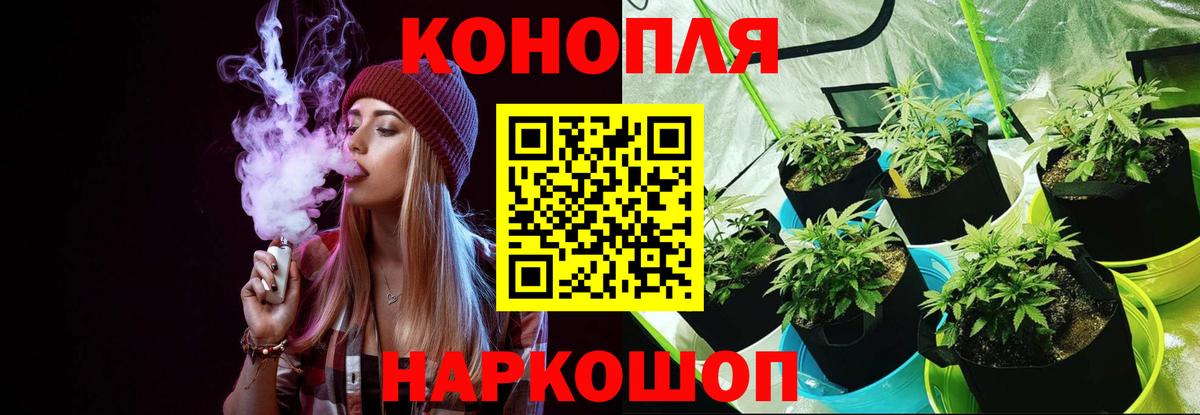 Бошки Шишки марихуана Ефремов